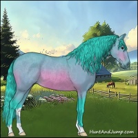 Horse Color:Watercolor Bay 
