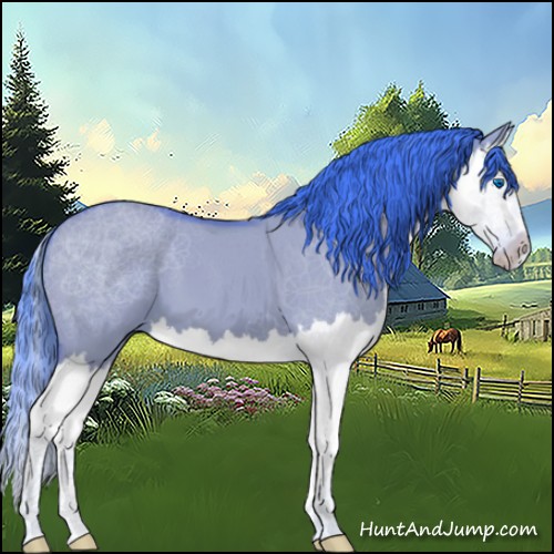 Horse Color:Watercolor Bay Dun Splash 