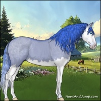 Horse Color:Watercolor Bay Dun Splash 