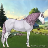 Horse Color:Watercolor Bay Pearl Dun Splash 