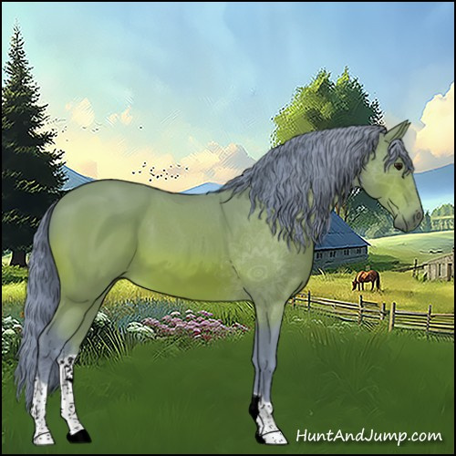 Horse Color:Watercolor Bay 