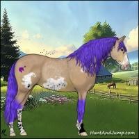 Horse Color:Watercolor Bay Frame 