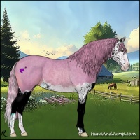 Horse Color:Watercolor Chestnut Splash 