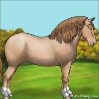 Horse Color:Chestnut Pearl 