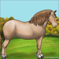 Horse Color:Chestnut Pearl