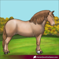 Horse Color:Chestnut Pearl