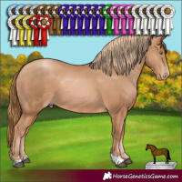 Horse Color:Chestnut Pearl  and Chestnut Pearl 