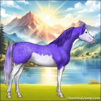 Horse Color:Watercolor Black Splash 