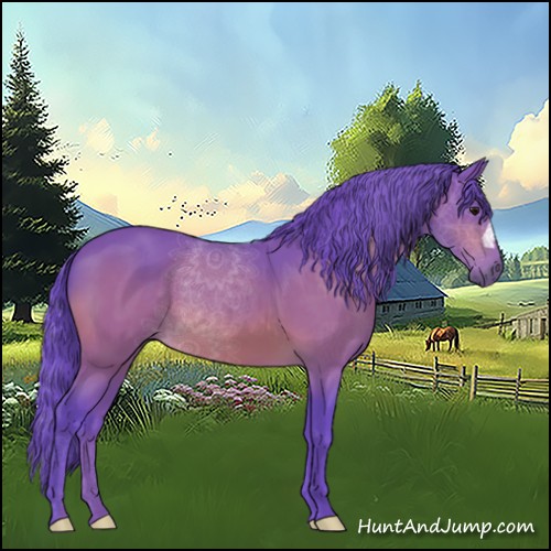Horse Color:Watercolor Bay 