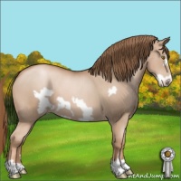 Horse Color:Liver Chestnut Pearl Frame