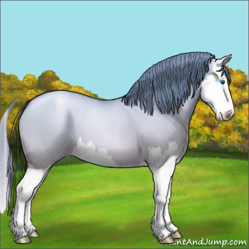 Horse Color:Amber Champagne Pearl Dun Splash