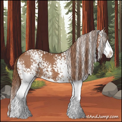 Horse Color:White Spotted Chestnut Splash