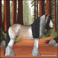 Horse Color:White Spotted Brown Dun