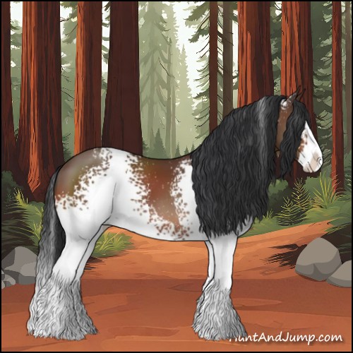 Horse Color:White Spotted Bay Splash