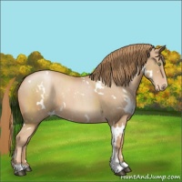 Horse Color:White Spotted Chestnut Pearl Varnish 