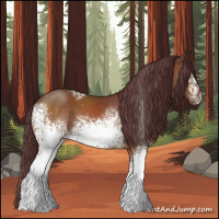 Horse Color:White Spotted Chocolate Buckskin 