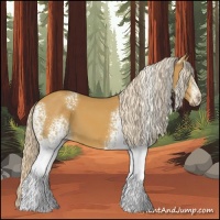 Horse Color:White Spotted Palomino 