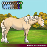 Horse Color:Palomino Dun 