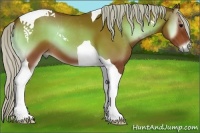 Horse Color:Silver Bay Onyx Tobiano 