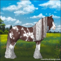 Horse Color:White Spotted Chocolate Smoky Black Splash 