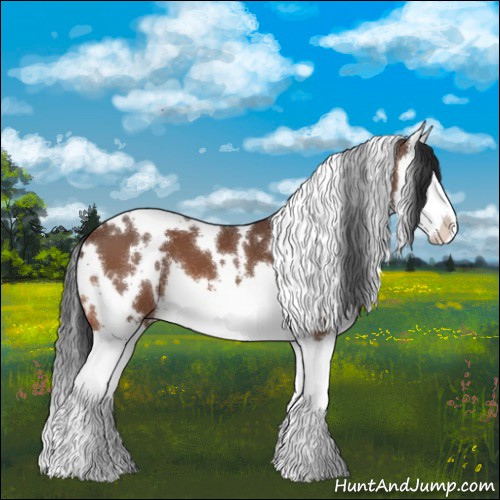 Horse Color:White Spotted Bay Splash