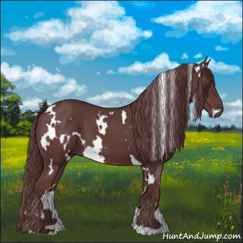 Horse Color:White Spotted Chocolate Smoky Black 