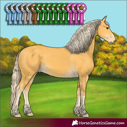 Horse Color:Palomino 