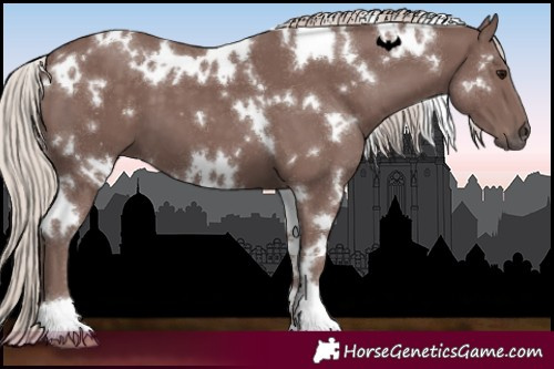 Horse Color:White Spotted Chocolate Silver Black 
