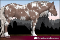 Horse Color:White Spotted Chocolate Silver Black