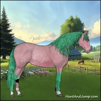 Horse Color:Watercolor Bay 