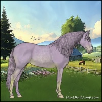 Horse Color:Watercolor Chestnut 