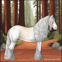 Horse Color:White Spotted Palomino Pearl 