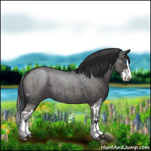 Horse Color:Blue Roan Sabino Splash and Blue Roan Sabino Splash