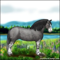 Horse Color:Blue Roan Sabino Splash and Blue Roan Sabino Splash
