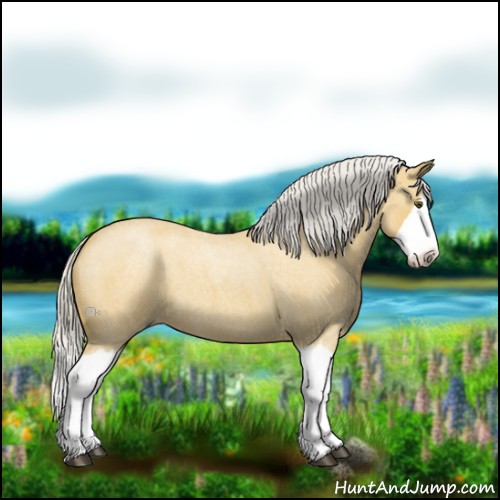 Horse Color:Silver Buckskin Roan Splash