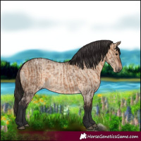 Horse Color:Bay Dun  and Bay Roan Dun 