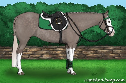 Horse Color:Silver Black Splash Rabicano 