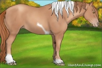 Horse Color:Gold Champagne Tobiano