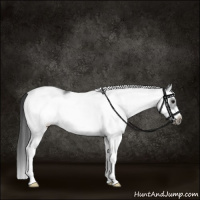 Horse Color:White Spotted Black Splash Frame 