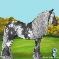 Horse Color:White Spotted Silver Black Chinchilla 