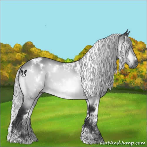 Horse Color:White Spotted Silver Brown Chinchilla 