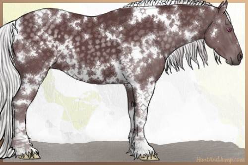 Horse Color:White Spotted Chocolate Silver Black Chinchilla 