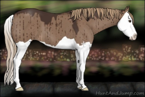 Horse Color:Liver Red Dun Splash Brindle 