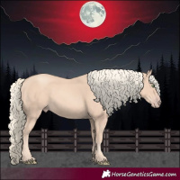 Horse Color:Gold Champagne Mushroom 