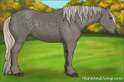 Horse Color:Silver Black 