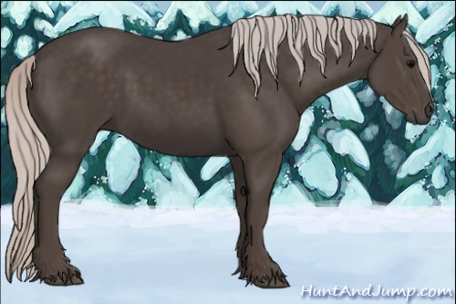Horse Color:Silver Black 