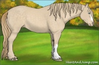 Horse Color:Perlino 