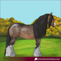 Horse Color:White Spotted Brown Dun Brindle 
