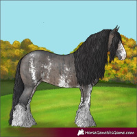 Horse Color:Brown Dun Sabino Brindle