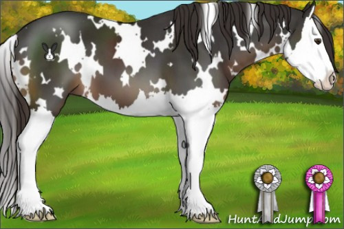 Horse Color:White Spotted Liver Chestnut Splash 
